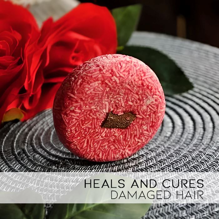 Herbal Essential Oil Infused Shampoo Bar (Cinnamon) Hair Styling Tools Every Day And Night