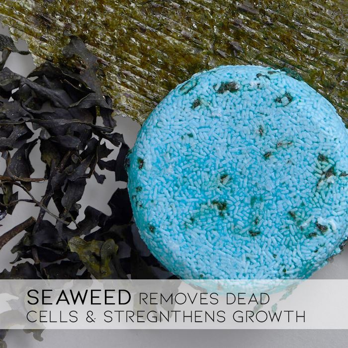 Herbal Essential Oil Infused Shampoo Bar (Seaweed) Hair Styling Tools Every Day And Night