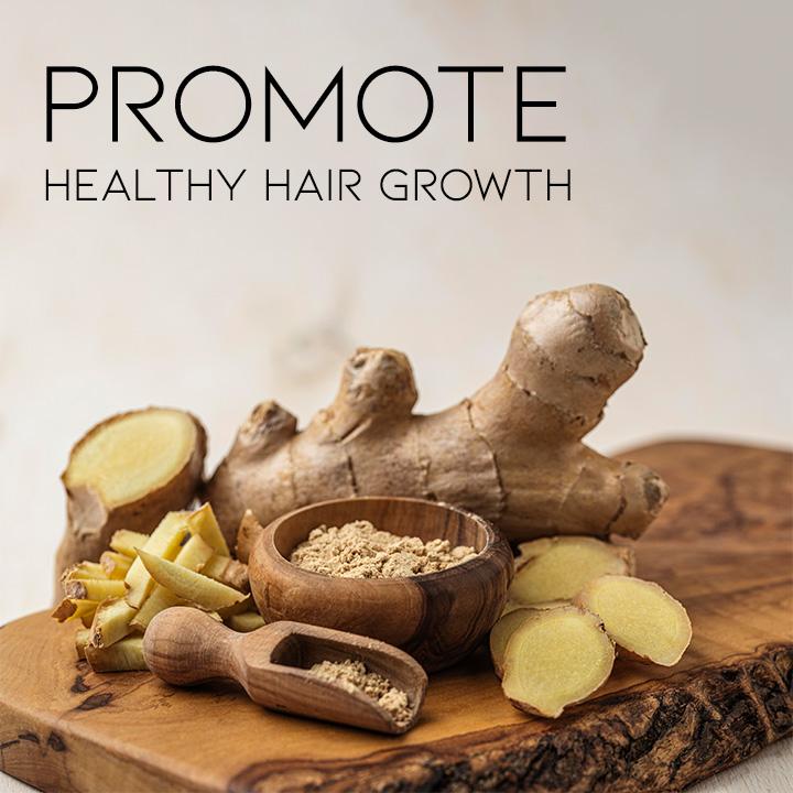 Anti-Hair Loss Shampoo Hair Loss Treatments Every Day And Night 