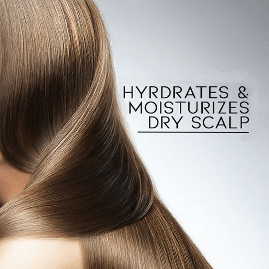 Apricot Kernel Oil Hair Care Every Day And Night 