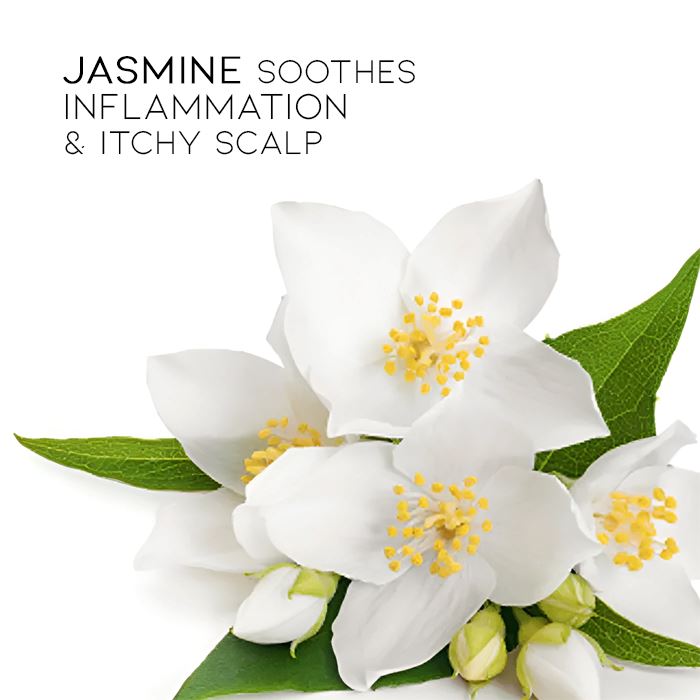 Herbal Essential Oil Infused Shampoo Bar (Jasmine) Hair Styling Tools Every Day And Night 