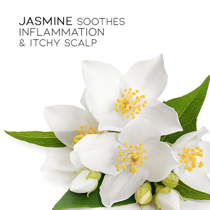 Herbal Essential Oil Infused Shampoo Bar (Jasmine) Hair Styling Tools Every Day And Night 