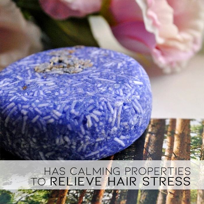 Herbal Essential Oil Infused Shampoo Bar (Lavender) Hair Styling Tools Every Day And Night 