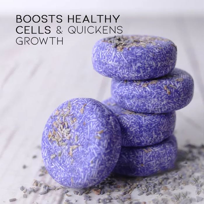Herbal Essential Oil Infused Shampoo Bar (Lavender) Hair Styling Tools Every Day And Night 