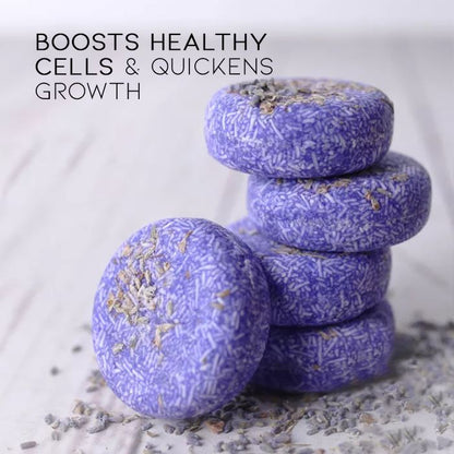 Herbal Essential Oil Infused Shampoo Bar (Lavender) Hair Styling Tools Every Day And Night 